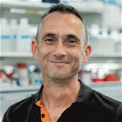 Professor David Brockwell