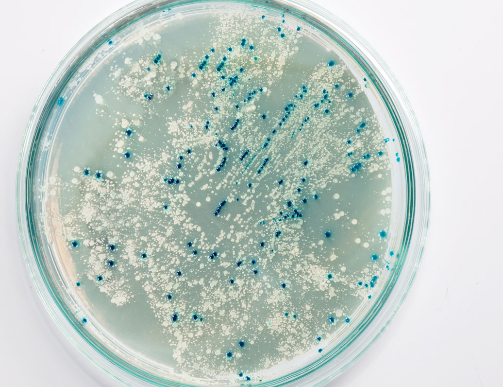 USP Microbiology 2022 – Keeping Up with Standards